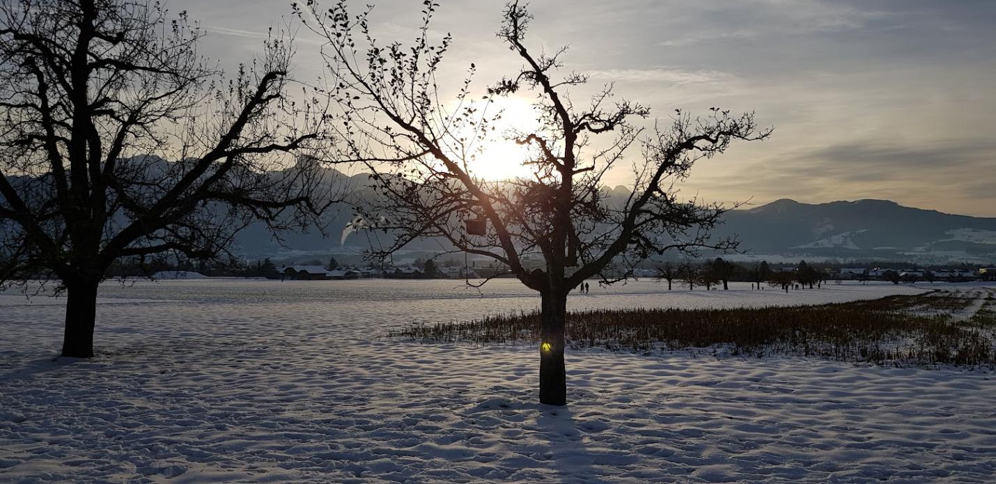 eichfeld im winter