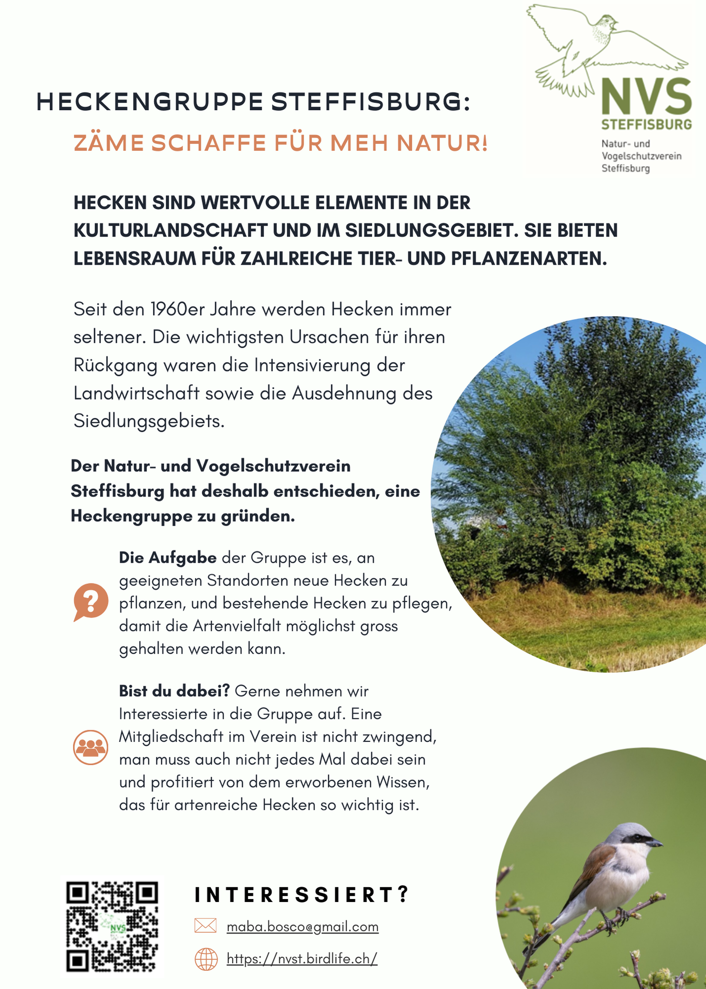 flyer heckengruppe