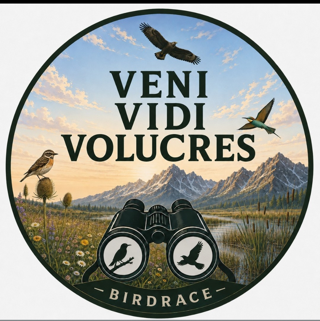logo birdrace