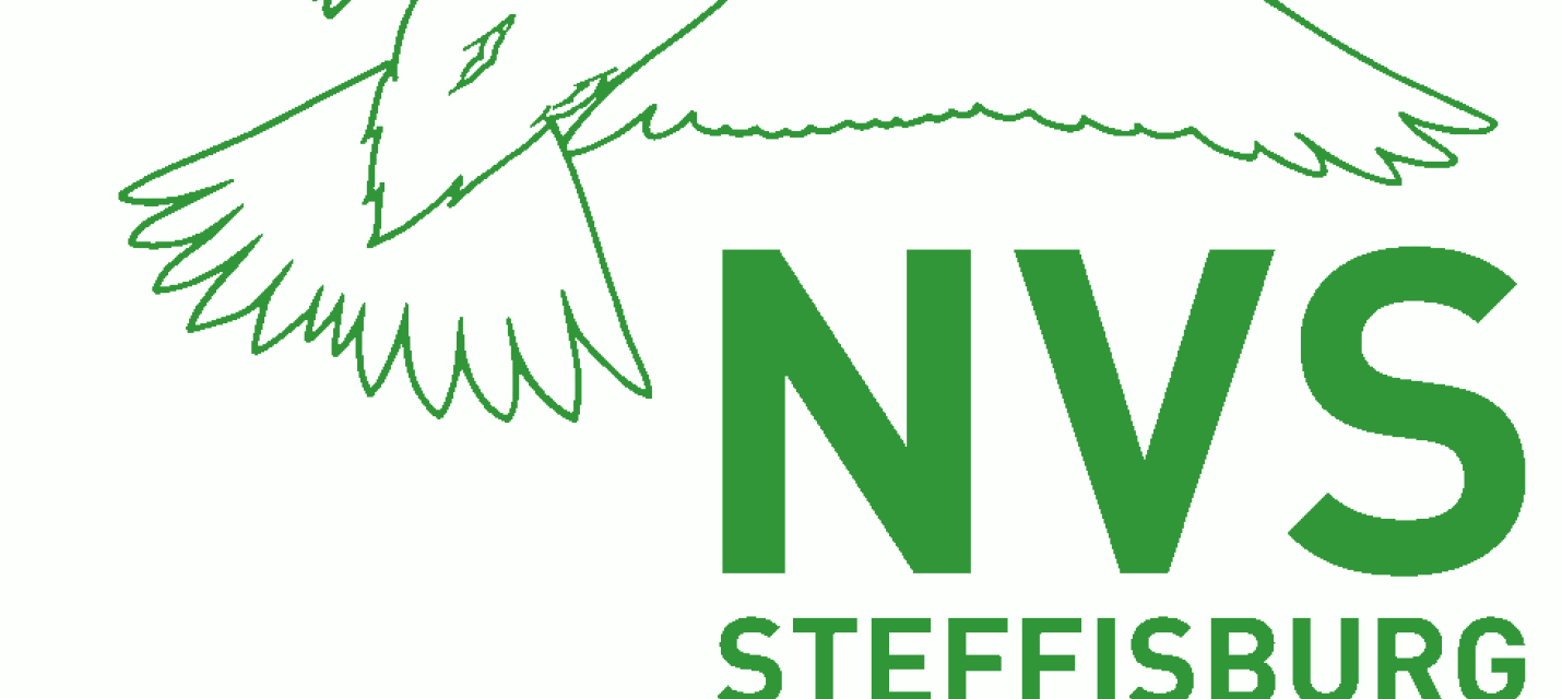 logo nvs