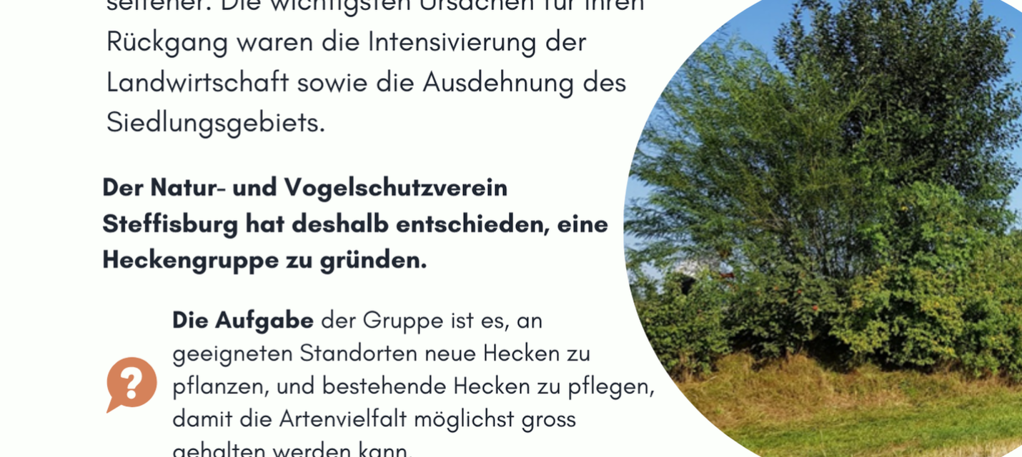 flyer heckengruppe