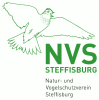 logo nvs
